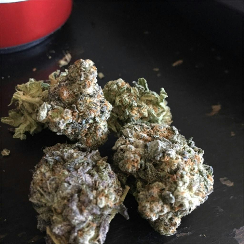 Gorilla Cookies Weed Strain Information Leafly