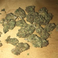 User uploaded image of Gorilla Cookies