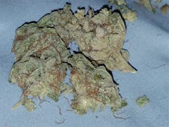 User uploaded image of Gorilla Cookies