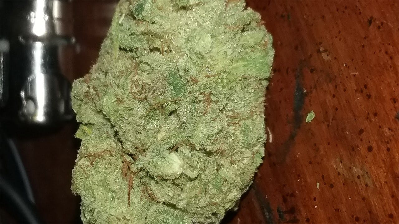 GG1 aka Gorilla Glue 1, Sister Glue Weed Strain Information Leafly