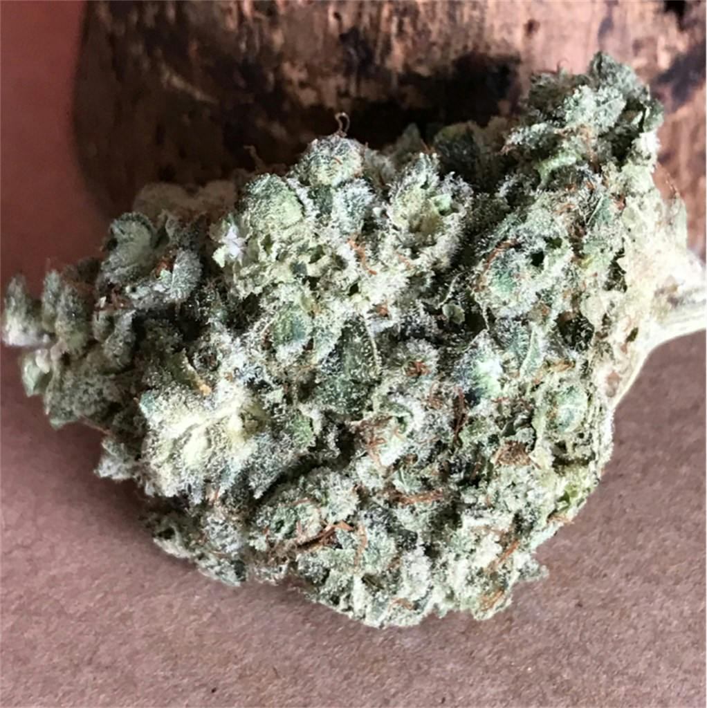 GG1 aka Gorilla Glue 1, Sister Glue Marijuana Strain Information Leafly