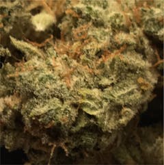 User uploaded image of GG4