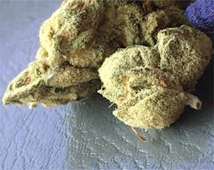 User uploaded image of GG4