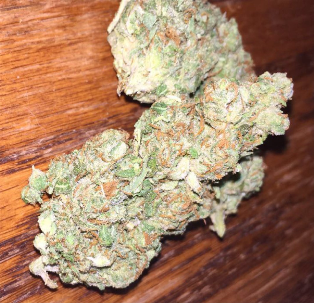 Gorilla Glue San Diego - Exotic 32% THC Strain at Seaweed Delivery -  SeaweedDelivery