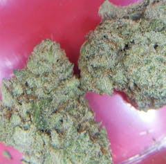 User uploaded image of GG5