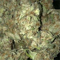 User uploaded image of GG5