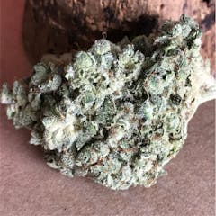 User uploaded image of GG5