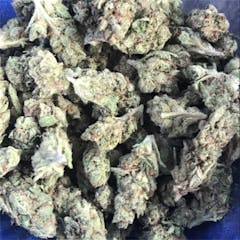 User uploaded image of GG5