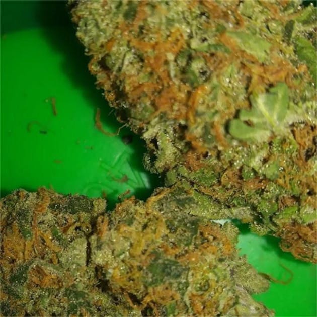 Photos of Gorilla Grips Weed Strain Buds Leafly