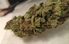 User uploaded image of Gorkle