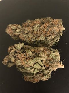 User uploaded image of Grand Doggy Purps