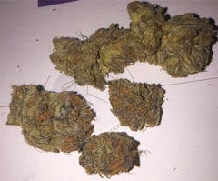 User uploaded image of Grand Doggy Purps