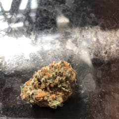 User uploaded image of Grand Doggy Purps