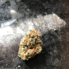 User uploaded image of Grand Doggy Purps