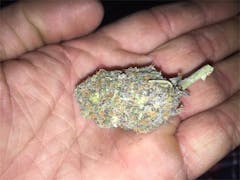 User uploaded image of Grand Doggy Purps