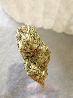 User uploaded image of Grand Hindu