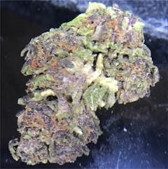 User uploaded image of Grand Hindu