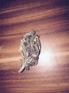 User uploaded image of Grand Hindu