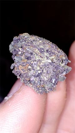 User uploaded image of Grand Hindu