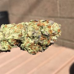 User uploaded image of Grand Hindu