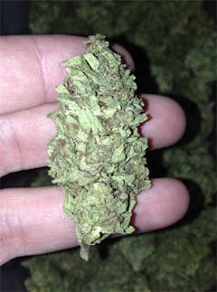 User uploaded image of Grand Hustle