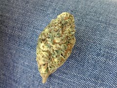 User uploaded image of Grand Hustle