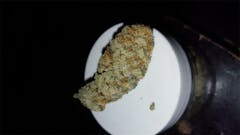 User uploaded image of Grand Hustle