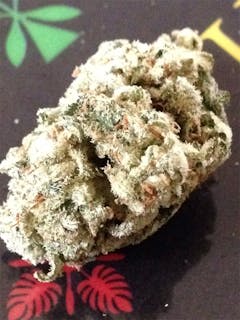 User uploaded image of Grand Hustle