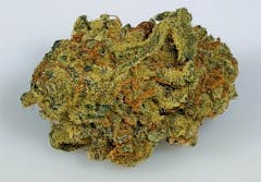 User uploaded image of Granddaddy Purple