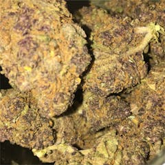 User uploaded image of Granddaddy Purple