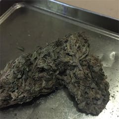 User uploaded image of Grandpa Larry OG