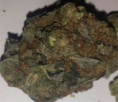 User uploaded image of Grape Ape