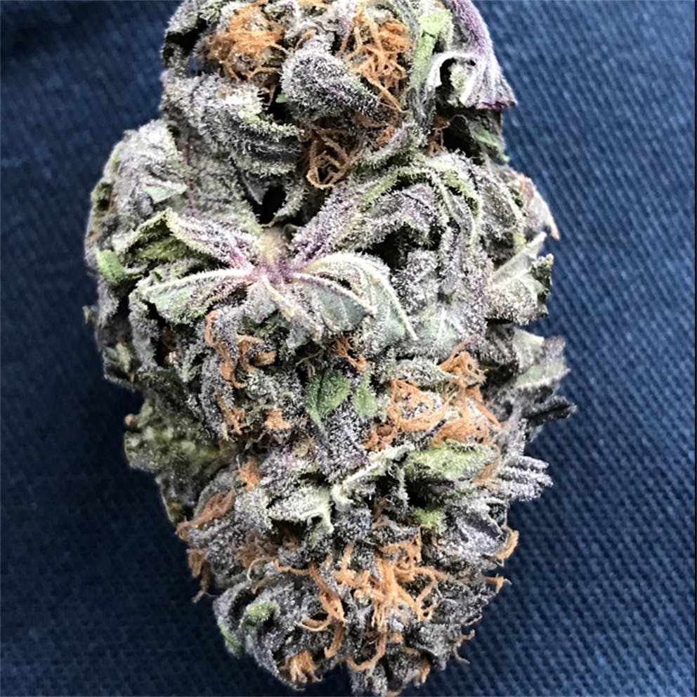 Photos of Grape Ape Weed Strain Buds | Leafly