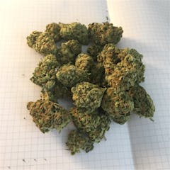 User uploaded image of Grape Ape