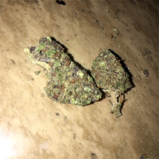 Photos of Grape Drink Weed Strain Buds Leafly