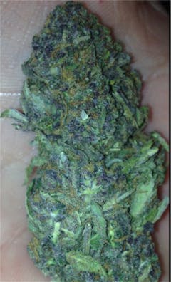 User uploaded image of Grape God