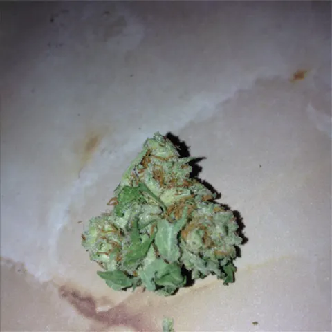 Grape God Weed Strain Information | Leafly