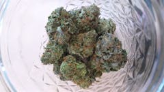 User uploaded image of Grape Krush