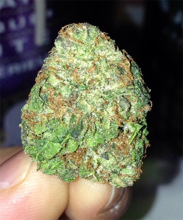 Photos of Grape Kush Weed Strain Buds Leafly