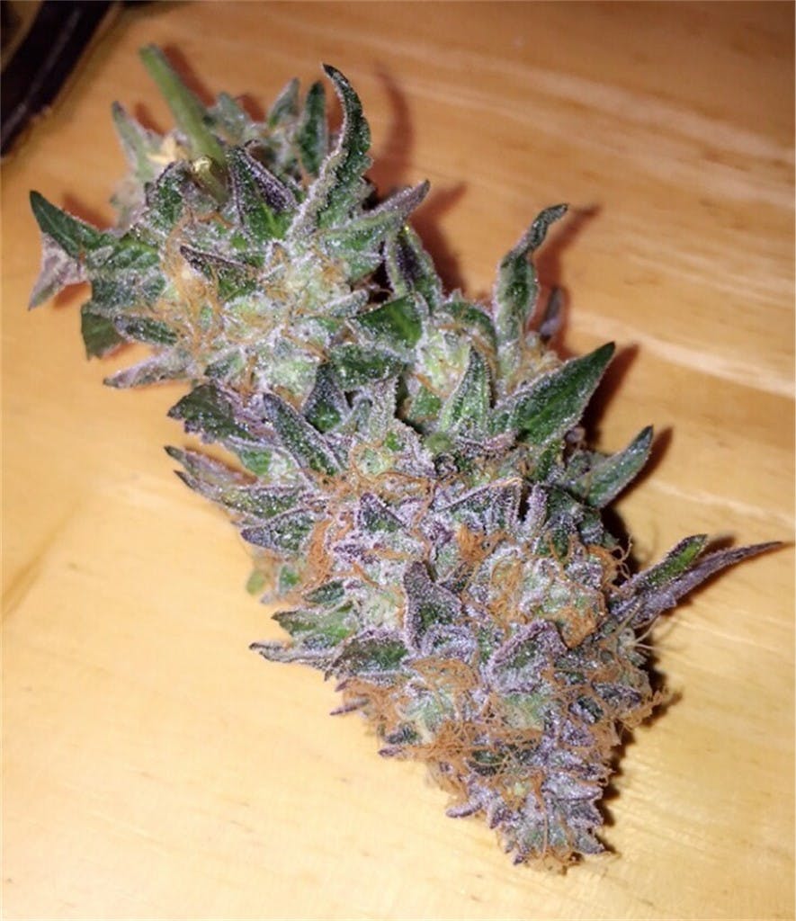 Photos of Grape Kush Weed Strain Buds Leafly