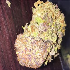 User uploaded image of Grape Kush