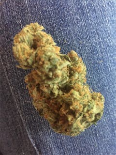 User uploaded image of Grape OX