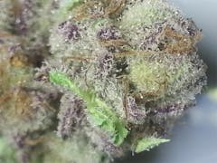 User uploaded image of Grape OX