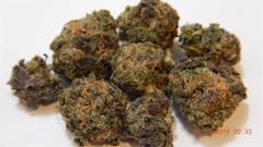 User uploaded image of Grape Skunk