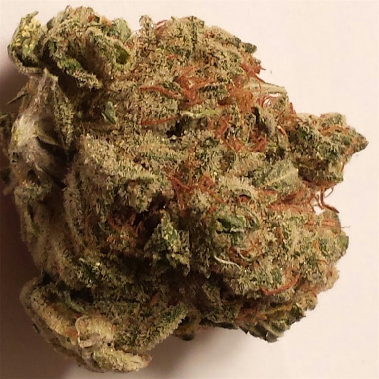 Photos of Grape Skunk Weed Strain Buds | Leafly