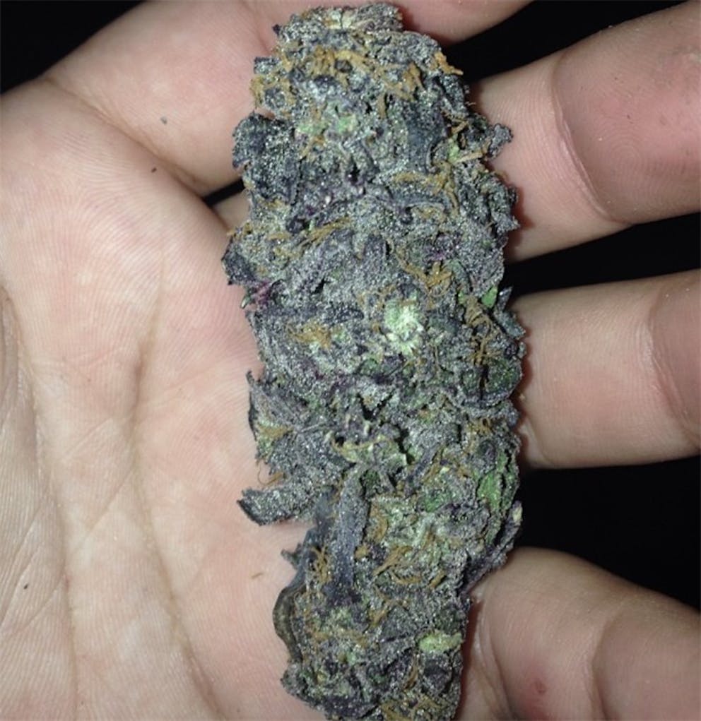 Photos of Grape Skunk Weed Strain Buds | Leafly