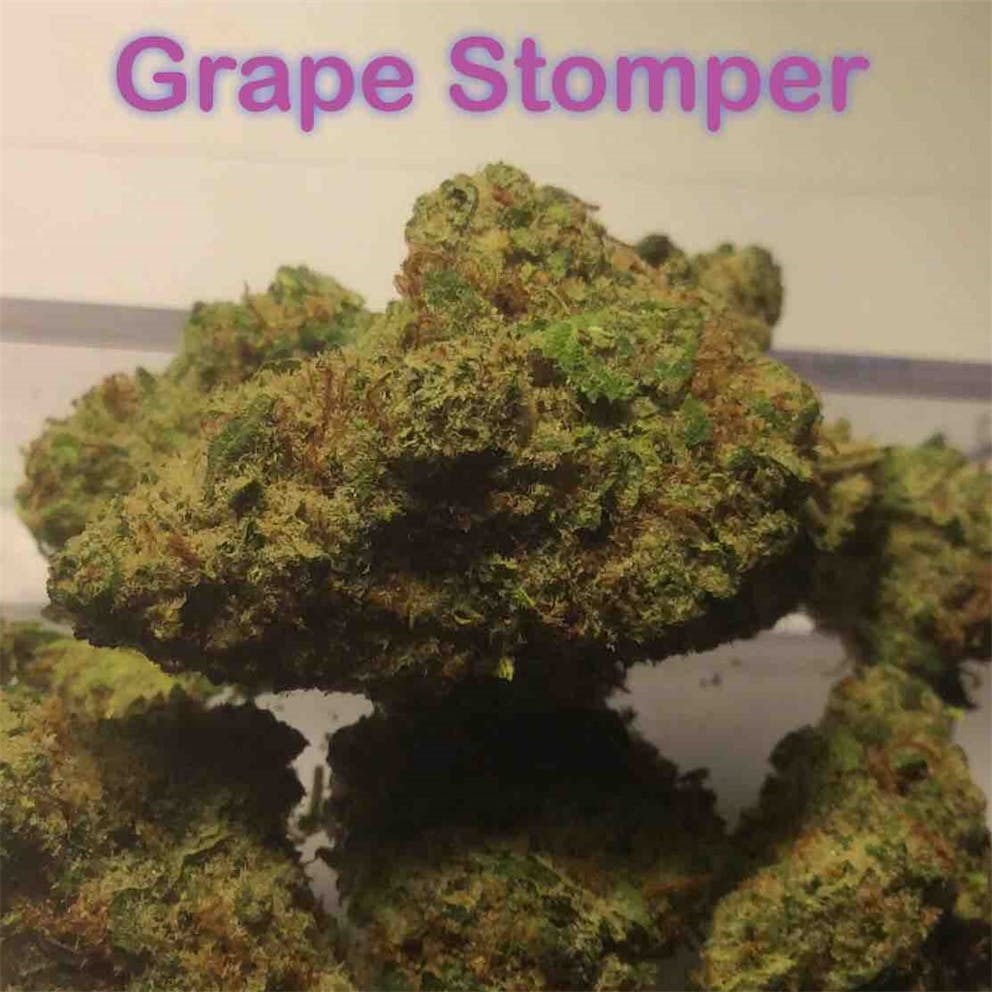 Photos of Sour Grapes Weed Strain Buds Leafly