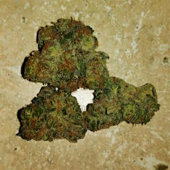 User uploaded image of Grape Stomper