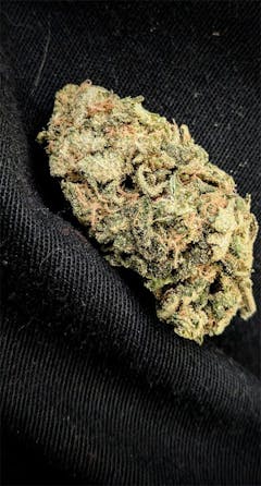 User uploaded image of Grape Stomper