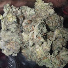 User uploaded image of Grape Valley Kush